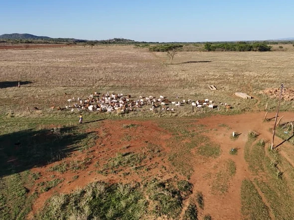 Farm & Agricultural Land