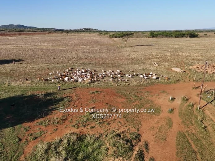 Plots for sale