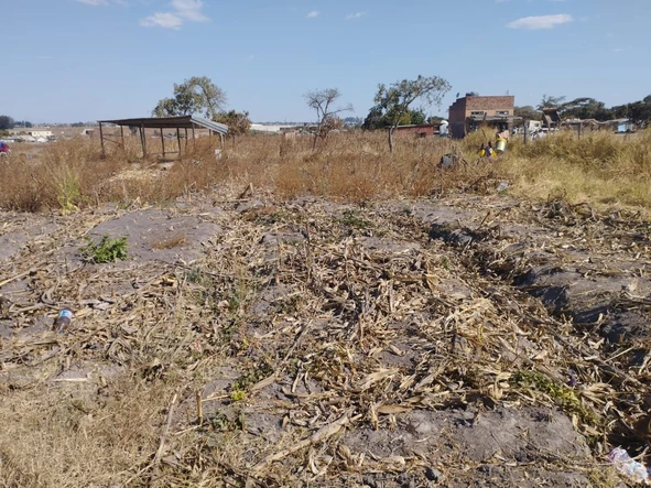 Commercial & Industrial Land