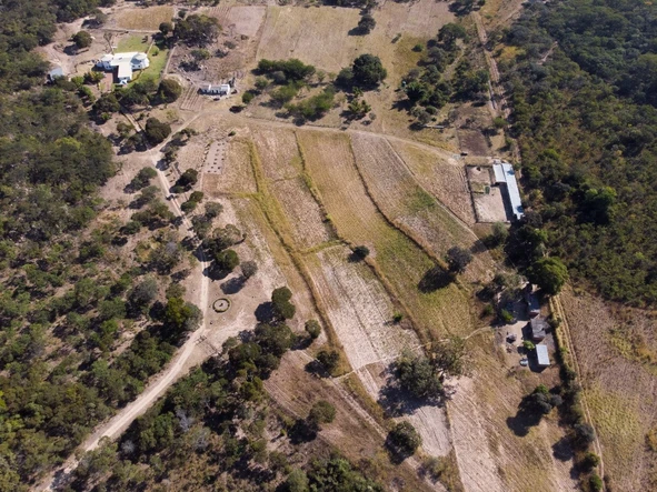 Farm & Agricultural Land