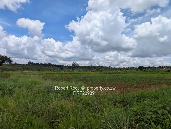 Build your dream home!