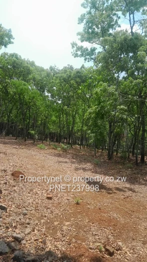 Prime stand (Sole Mandate)