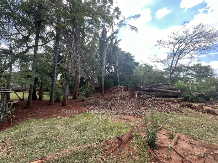 Prime location - development potential!