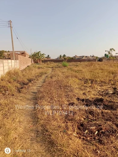 An opportunity not to miss