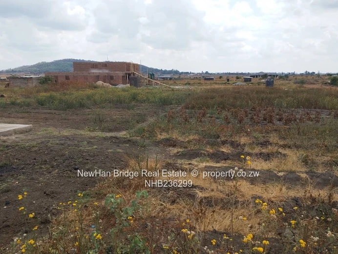 1200m² Fairview Stand — Level Plot with Concrete Slab & Hill Views