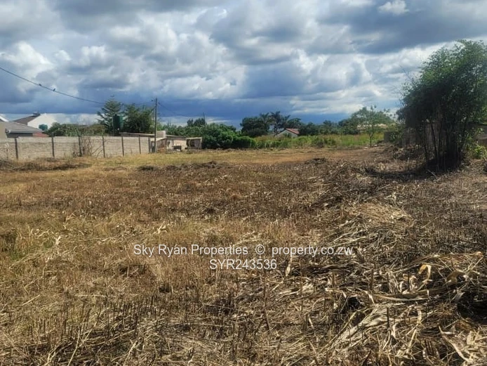 Marlborough Residential Stand For Sale