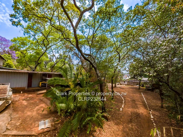 Prime 1 Acre Panhandle Stand in a Beautiful Setting! (Sole Mandate)