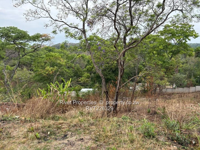 Glen Lorne Priced To Go 