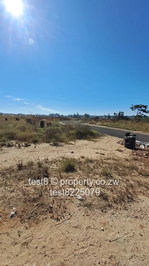 Lakewood stands for sale 