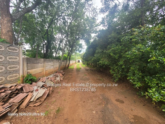 A Halley 's Comet equivalent! 