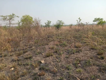 Farm & Agricultural Land