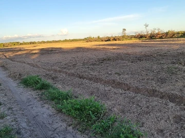 Farm & Agricultural Land