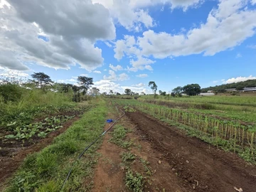 Farm & Agricultural Land