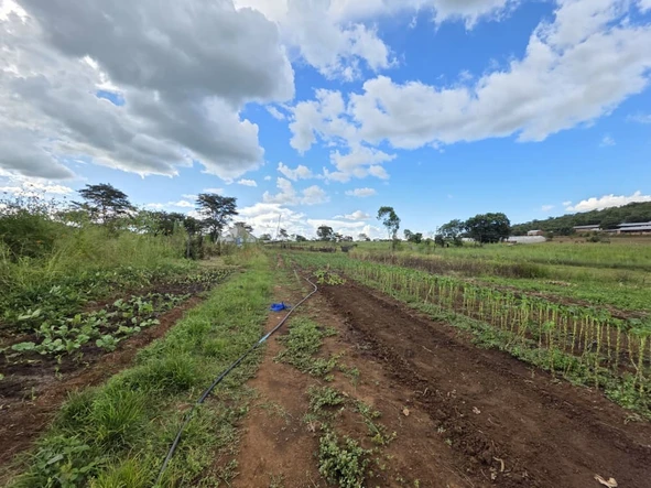 Farm & Agricultural Land