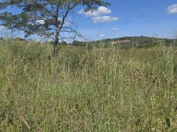 Farm & Agricultural Land