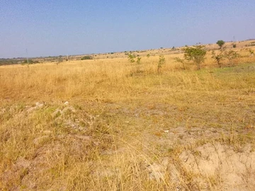 Commercial & Industrial Land