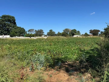 Stands & Residential Land