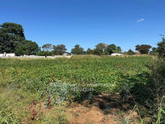 Vacant Stand In Killarney!