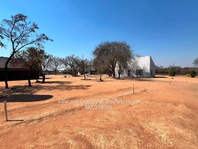 Prime Plot on the Main Road