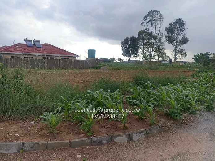 Ruwa Sebastopol Park Commercial Stand For Sale 