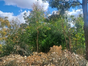 Commercial & Industrial Land