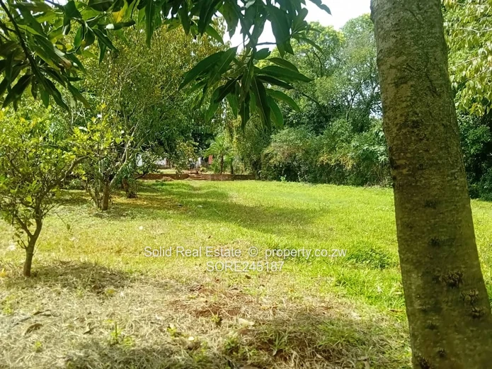 Prime Stand for Sale in Greendale – Ready to Build