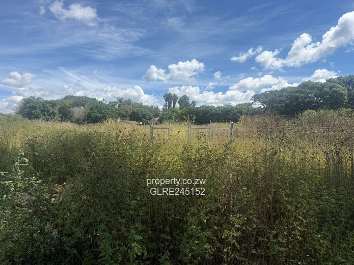 Prime 3,700m² Greystone Park Stand — Subdivision Ready