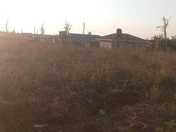 Land