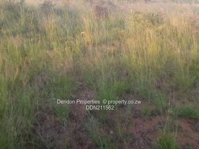 Prime  Land for Sale in Scenic Victoria Falls, Matabeleland North