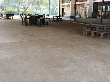 Shop & Retail Property