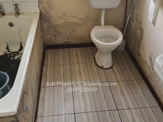 Renovator’s Delight 