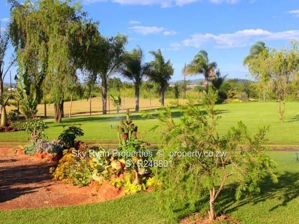 Snake Park Resort For Sale