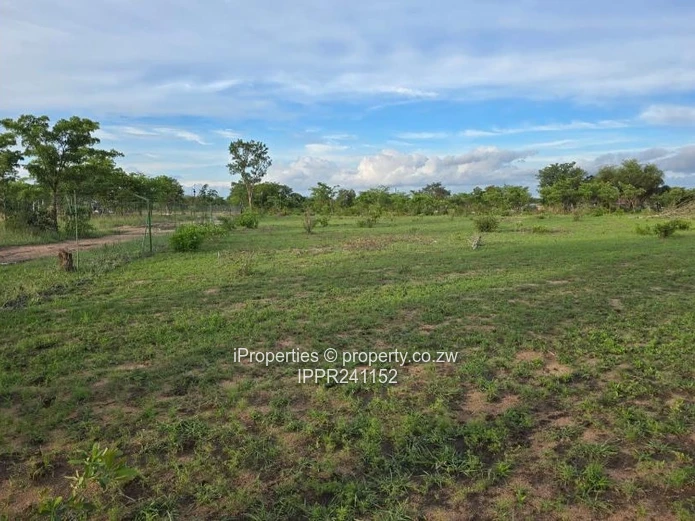 Choice of 3 Commercial Stands in Kadoma