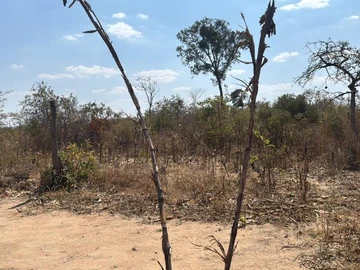 Commercial & Industrial Land