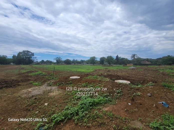 Marlborough Adylinn stands for sale