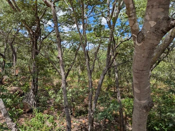 Prime 1.6 Hectares of Land in Scenic Christon Bank