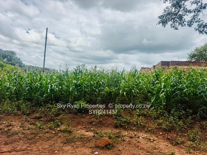 Glen Lorne  Stand For Sale