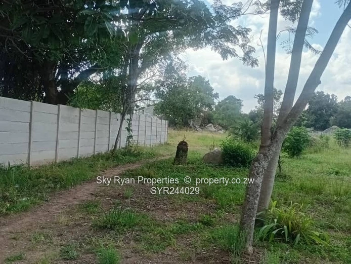 Hatfield Stand For Sale