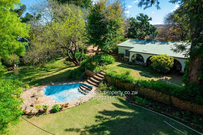 Expansive Gwanda Gem