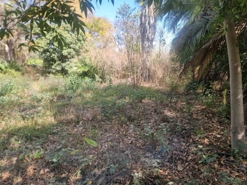 Commercial & Industrial Land