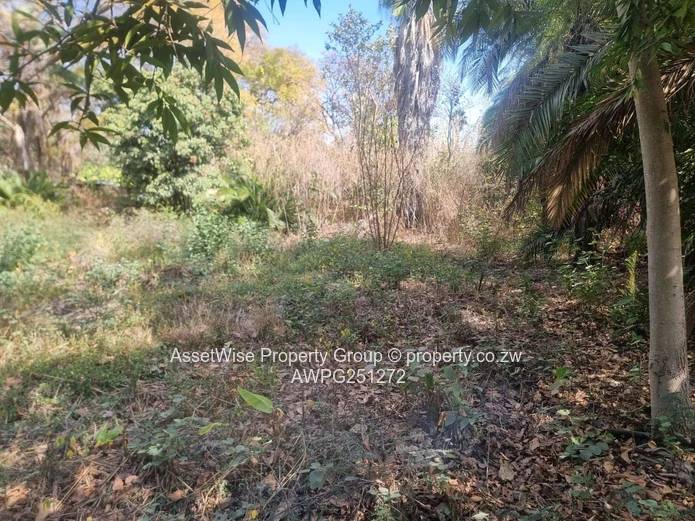 2100m² Tree-lined Commercial Plot in Avondale — Services
