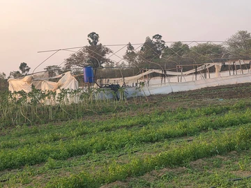 Farm & Agricultural Land