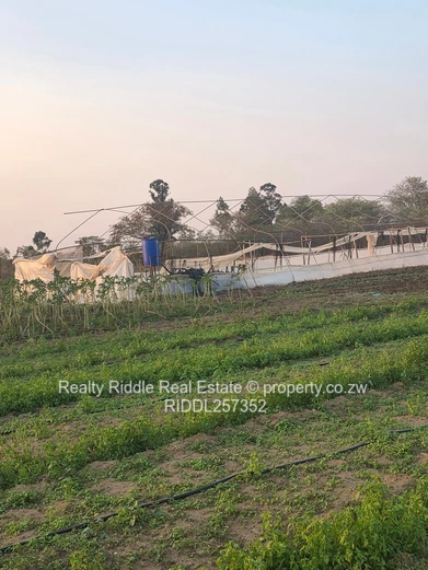 10,000-Acre Irrigated Farm with Greenhouses & Main Road Frontage
