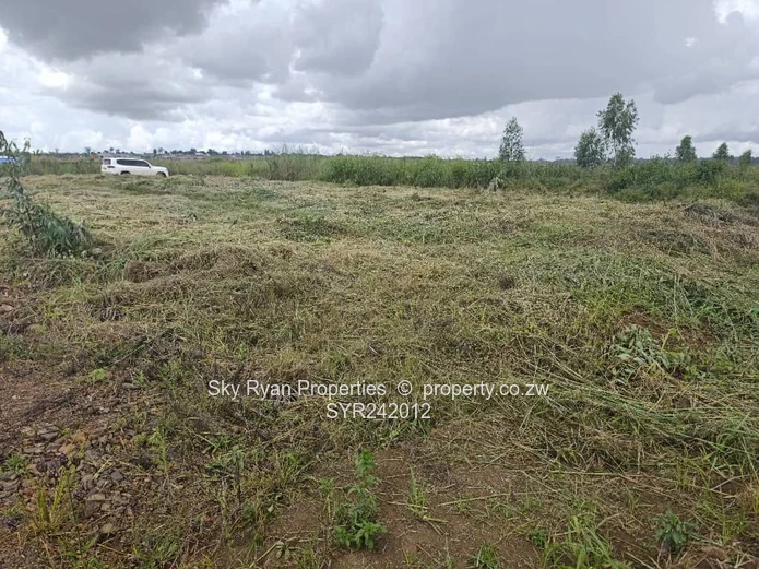 Pomona City Corner Stand For Sale