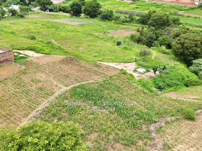 Prime Glen Lorne Panhandle Infill Stand for Sale