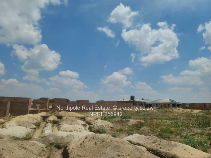 Stand For Sale – Goshen Park