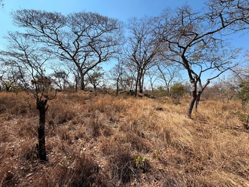 Commercial & Industrial Land