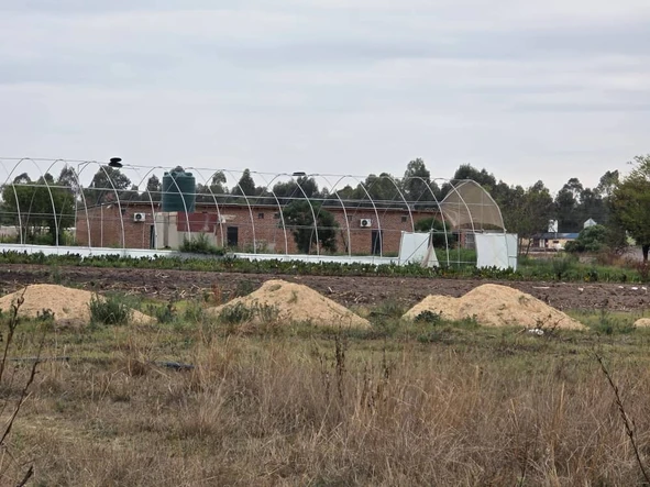 Farm & Agricultural Land