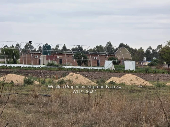 Grab this investment opportunity