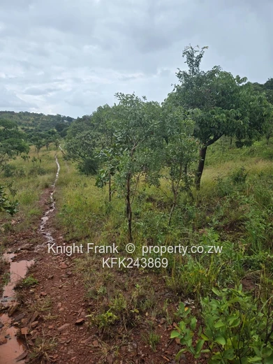 6000m² Shawasha Hills Stand — Access Controlled, Tarred